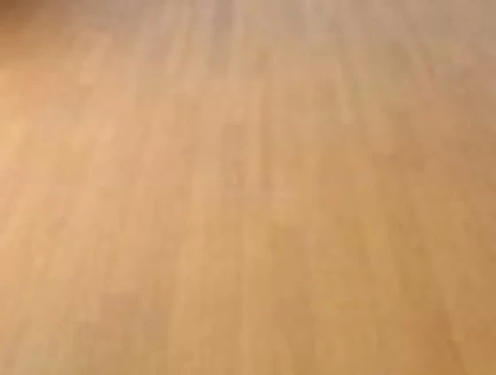 ドーミトリー人見