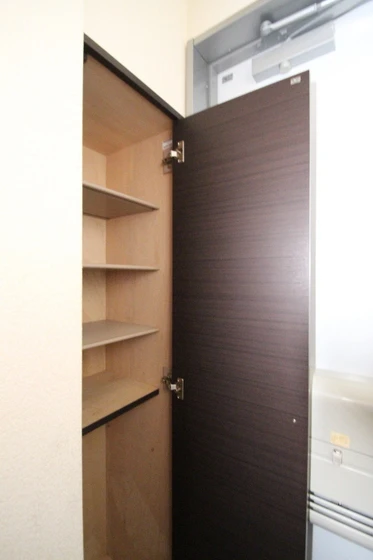 レオネクストシモイフク