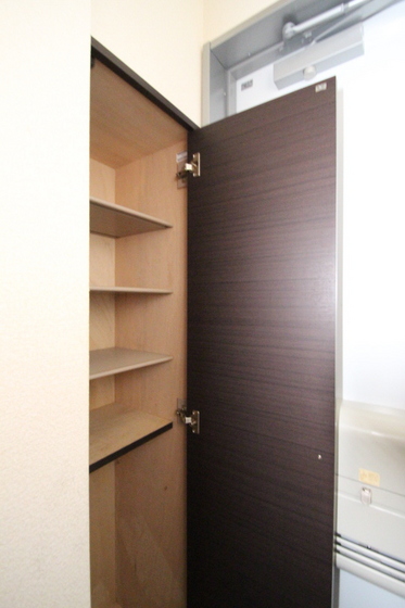 レオネクストシモイフク