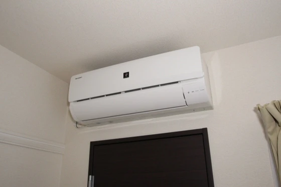 レオネクストシモイフク