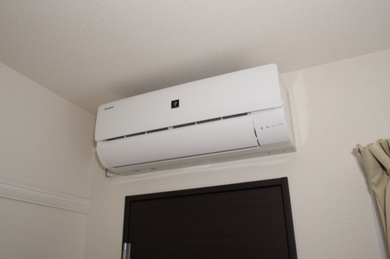 レオネクストシモイフク