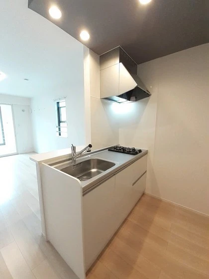 エルヴィータ・セーイB