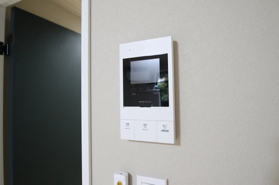 Alterna(オルタナ)