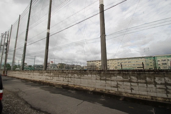 Alterna(オルタナ)