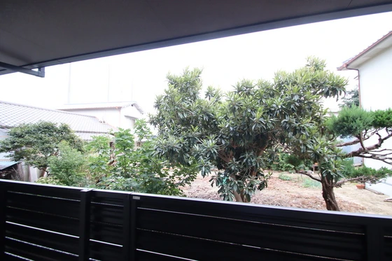 Alterna(オルタナ)