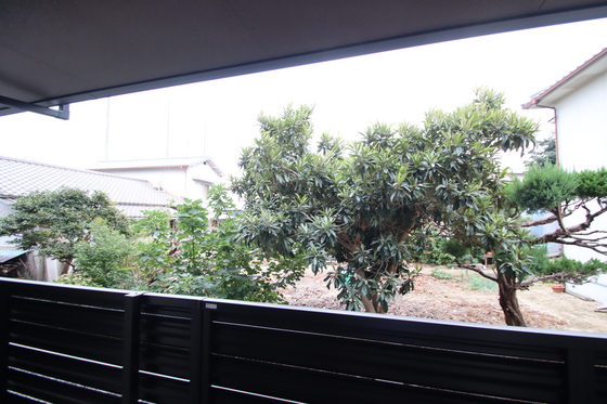 Alterna(オルタナ)