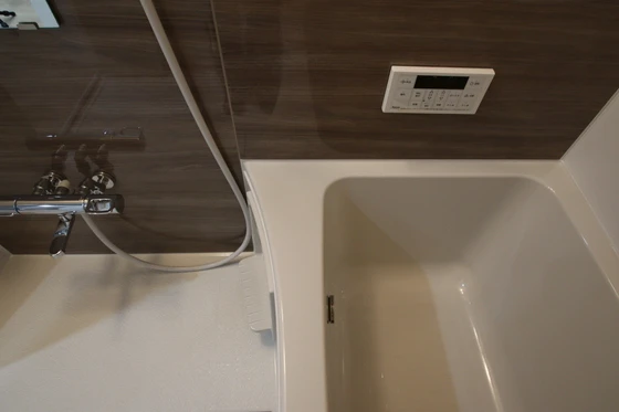 Alterna(オルタナ)