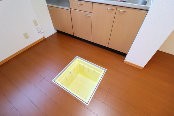 デューク富士見町 A棟