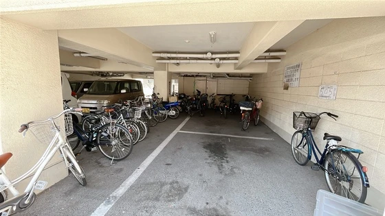 センチュリーせいき