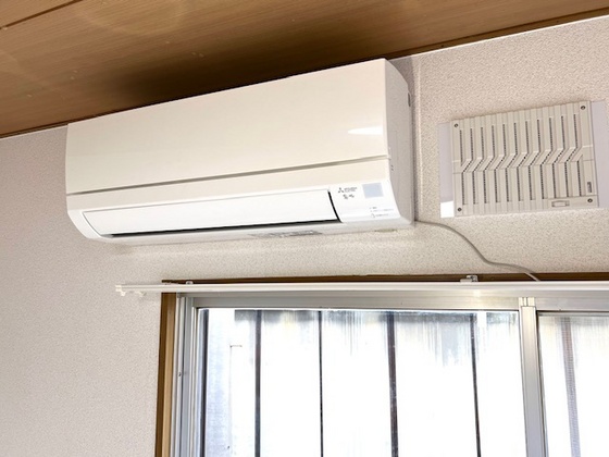 フレイバーランド梢