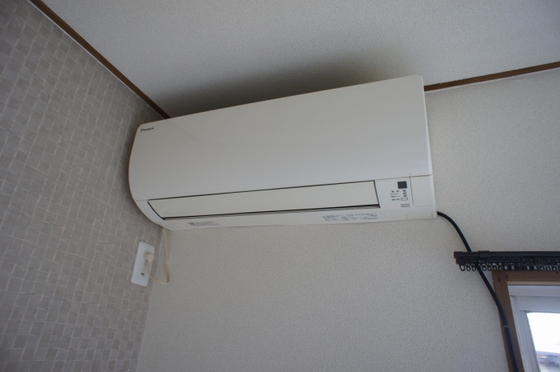 フレイバーランド梢