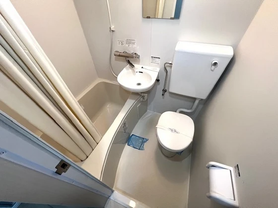 フレイバーランド梢