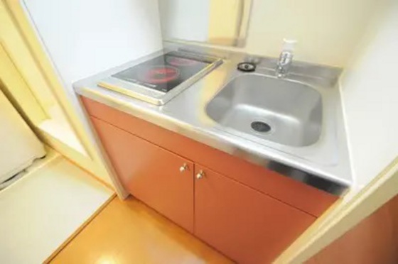 レオパレス元上