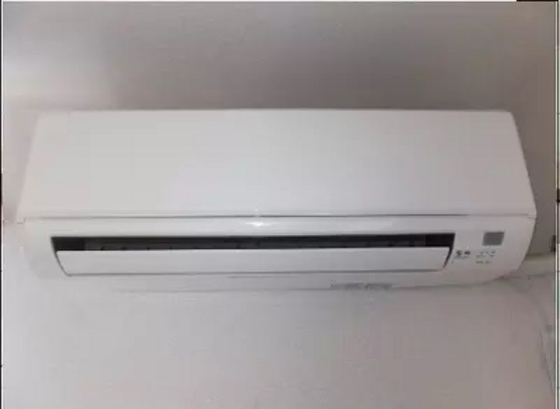 レオネクストパレス市場