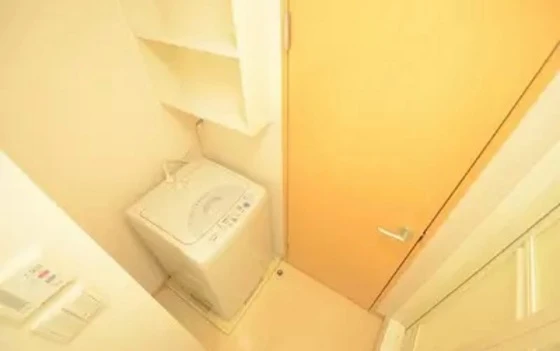 レオネクストパレス市場