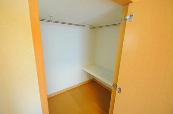 レオネクストパレス市場