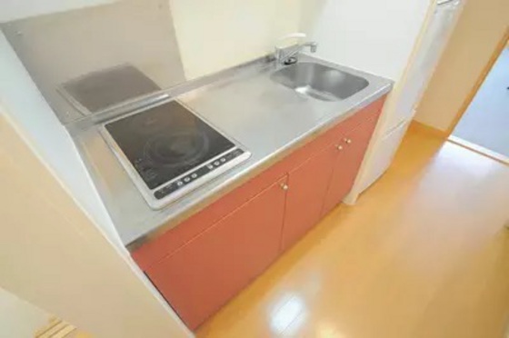 レオネクストパレス市場