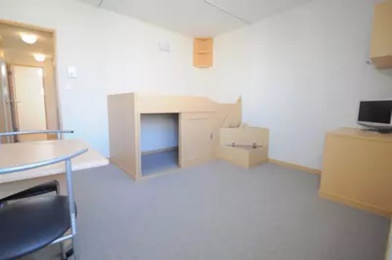 レオネクストパレス市場