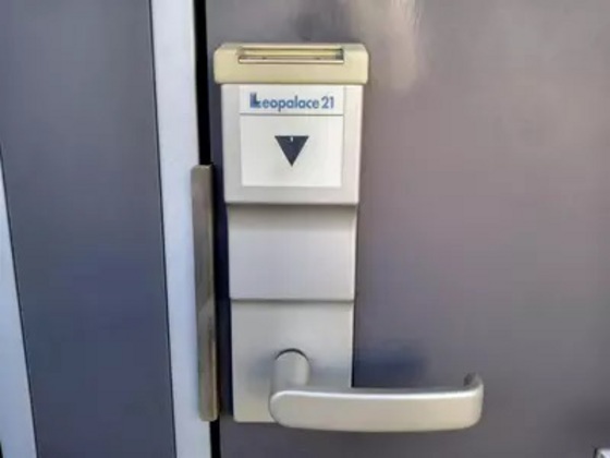 レオネクストパレス市場