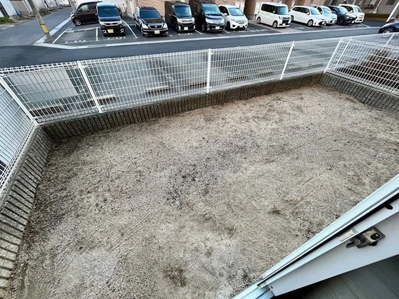 ファミーユ・ビボD