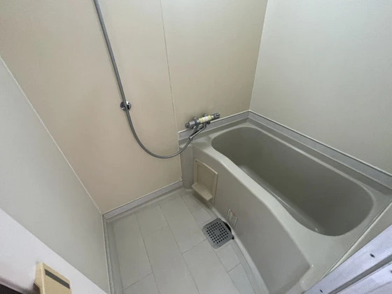 パークプレイス平井Ⅱ号棟