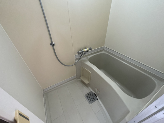 パークプレイス平井Ⅱ号棟