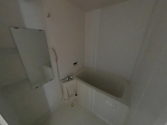 Fortuna(フォルトゥーナ)