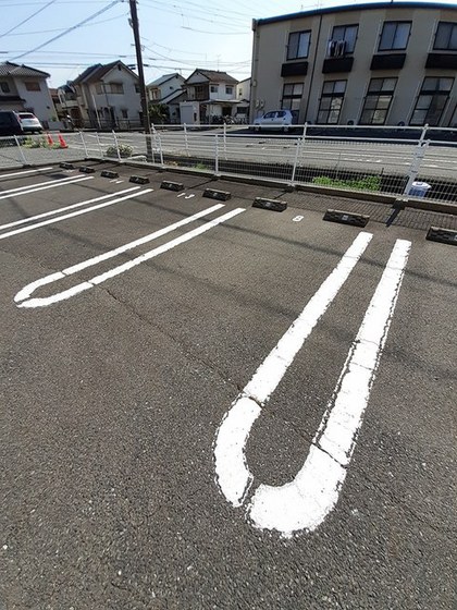 プリムローズ・K B