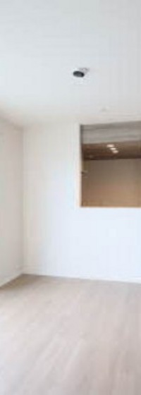 ブルームステージ