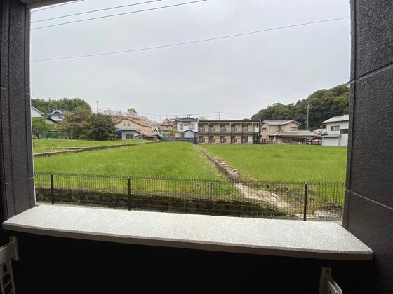 ヤングプリンス