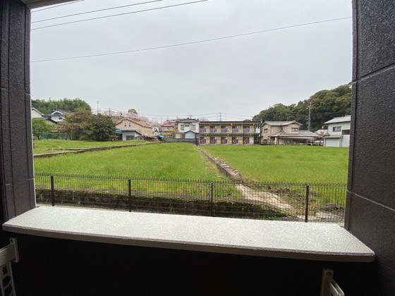 ヤングプリンス