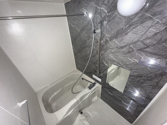 リフレスロイヤルシティⅤ