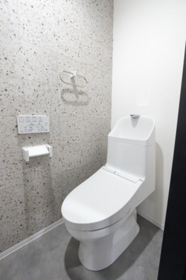 ハイブリッジ光