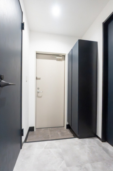 ハイブリッジ光