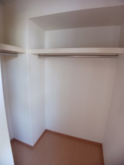 ベントルナータ C