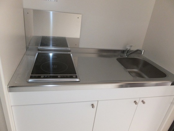 レオネクスト富