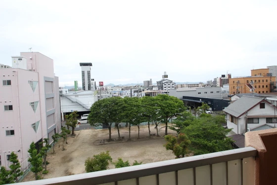 チェルシー青江 東