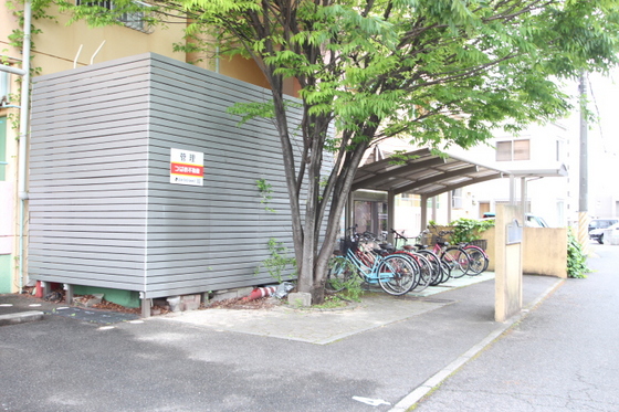 チェルシー青江 東