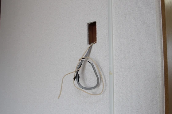 チェルシー青江 東