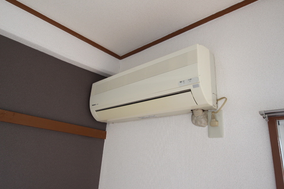 チェルシー青江 東