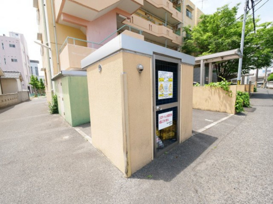 チェルシー青江 東