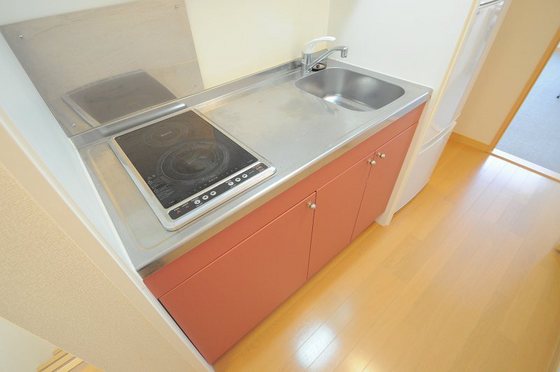 レオネクストT&K