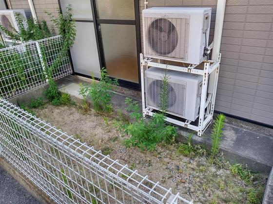 レオパレスカサベルデ