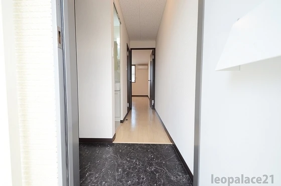 レオネクストエアル