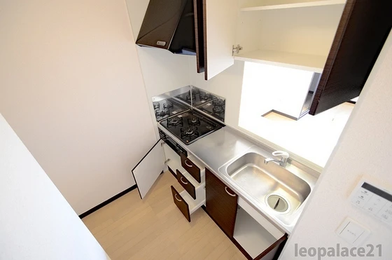 レオネクストエアル