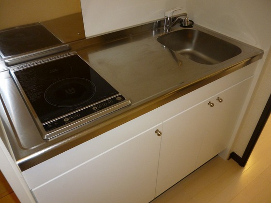 レオネクストルピナス高柳東町2