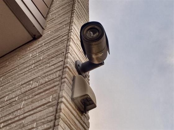 クレイノシャイン万倍