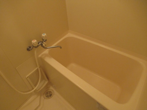 ロイヤルパレス林Ⅱ