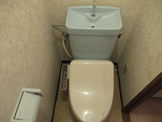 ロイヤルパレス林Ⅱ