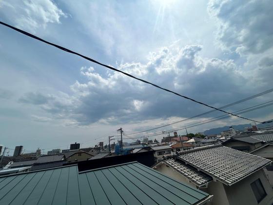 テキーラウルフ